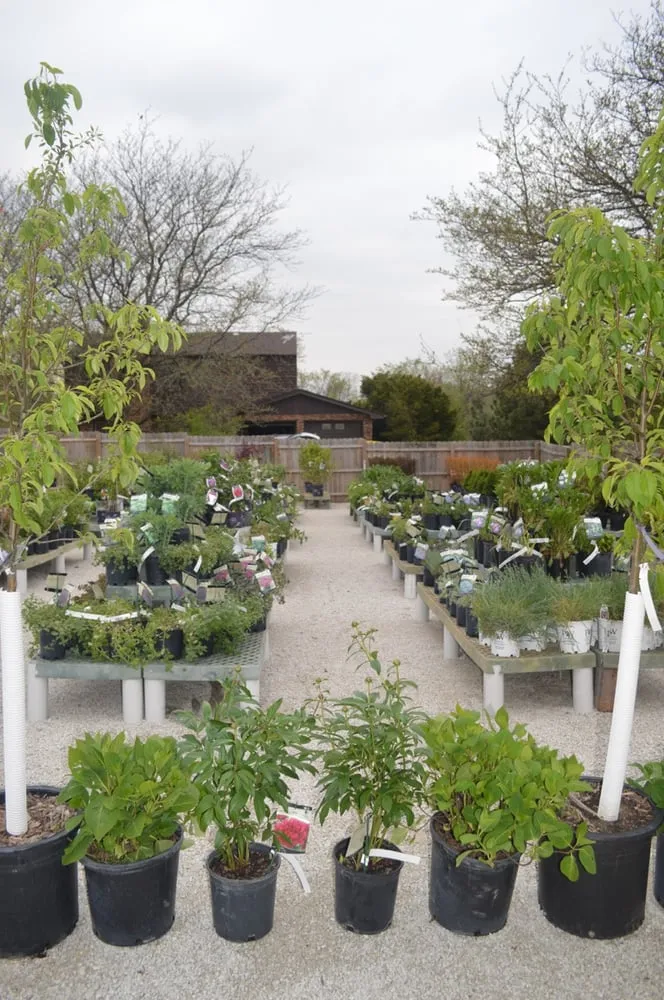 Affordable lawn care service for outdoor upgrades in Lemont, IL by Sun and Shade Garden Center