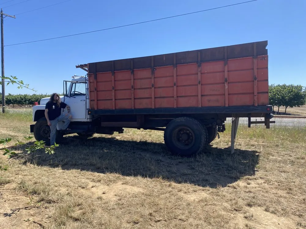 Affordable landscape installation in Portland, OR - Sun Bear Tree Care