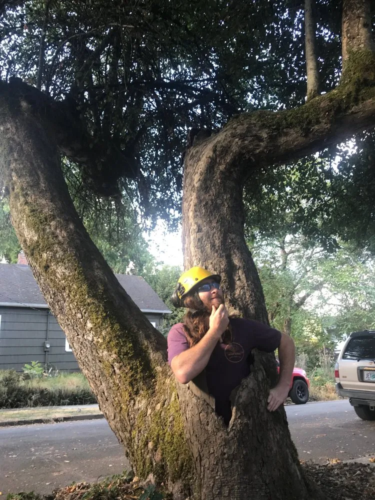 Professional landscaping services experts serving Portland, OR - Sun Bear Tree Care