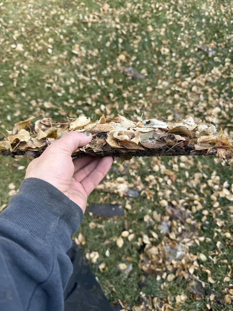 Trusted yard maintenance in Pleasant Grove, UT by Sun Brothers