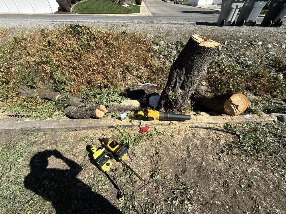 Expert garden landscaping for beautiful yards across Pleasant Grove, UT - Sun Brothers