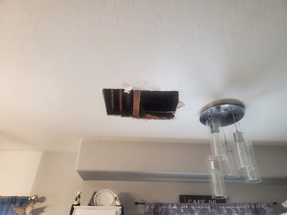 Local yard cleanup service in Sun City, AZ by Sun City AZ Helpers