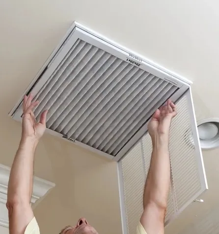 Top-rated yard cleanup service for homes in Sun City, AZ by Sun City AZ Helpers