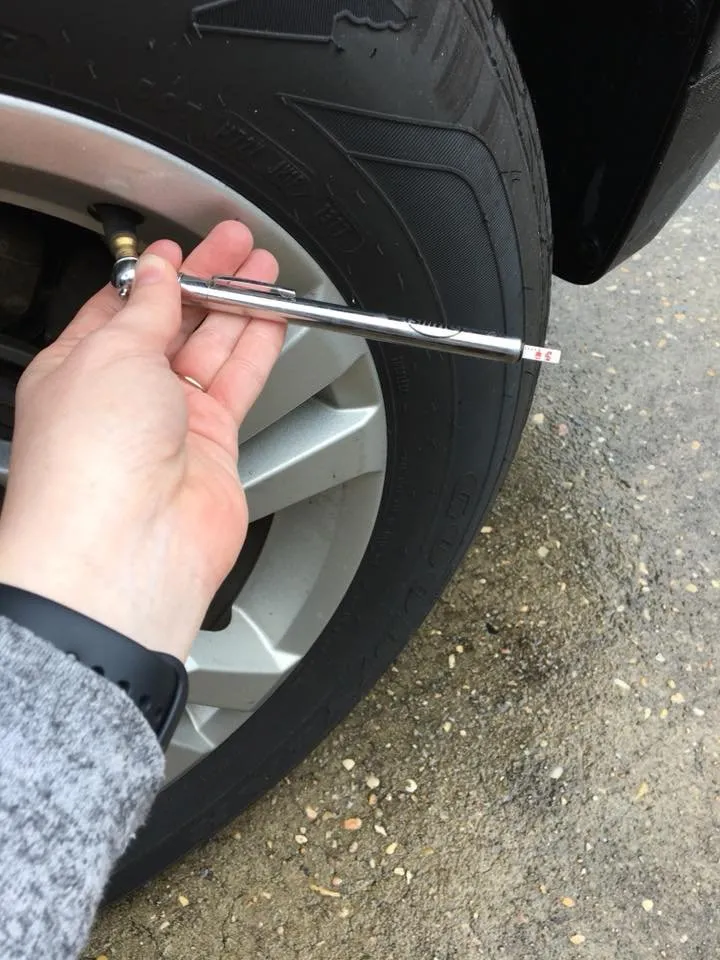 Local garden landscaping for homes in Sun City, AZ by Sun City AZ Helpers