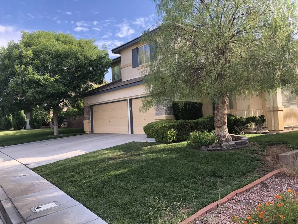 Top-rated yard cleanup service in Henderson, NV - Sun City Landscaping