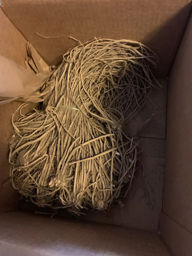 Trusted garden landscaping with custom design in El Paso, TX by Sun City Lawn Care