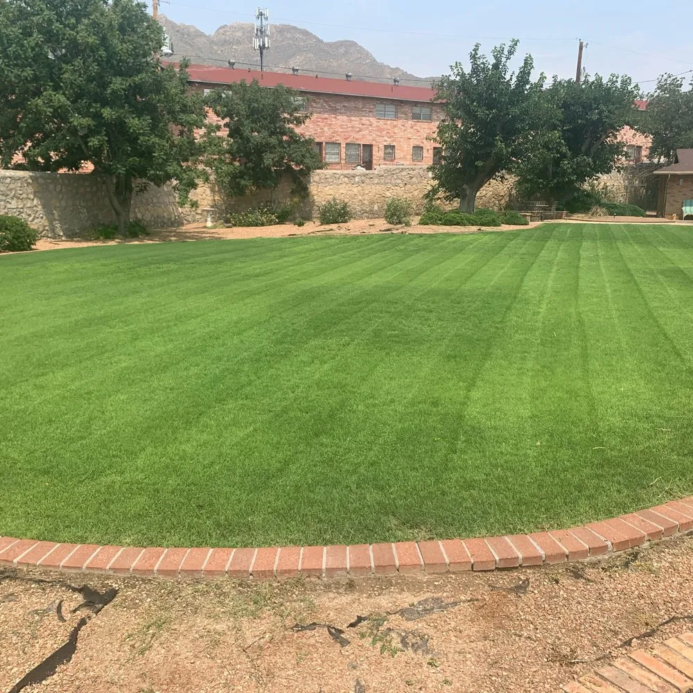 Affordable lawn mowing service for beautiful yards across El Paso, TX - Sun City Lawn Care