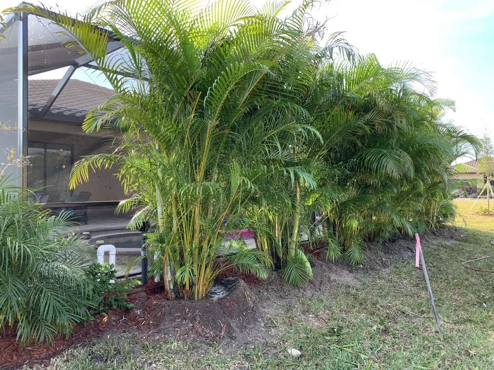 Trusted yard maintenance in Bokeelia, FL by Sun City Palms Landscaping