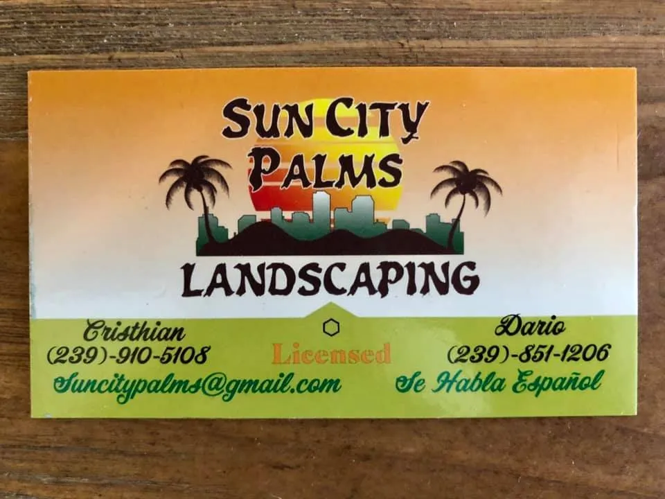 Affordable yard cleanup service in Bokeelia, FL - Sun City Palms Landscaping