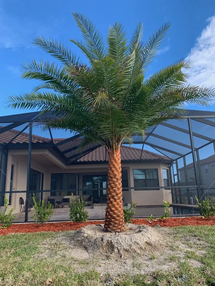 Top-rated landscape design in Bokeelia, FL - Sun City Palms Landscaping