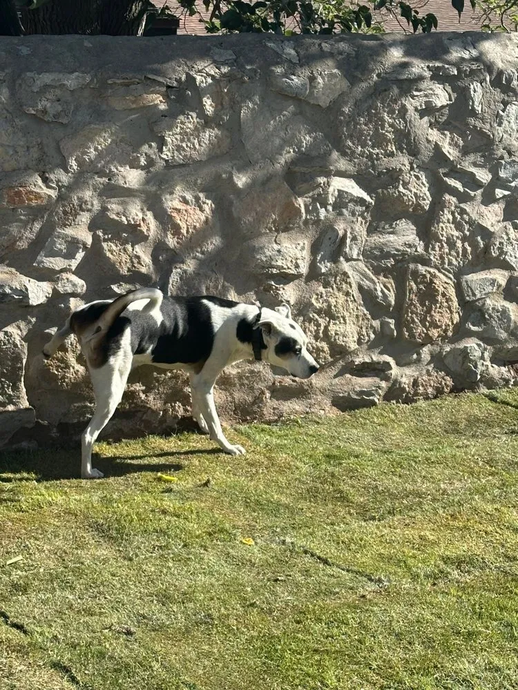 Expert landscape installation experts serving El Paso, TX - Sun City Sod & Landscape