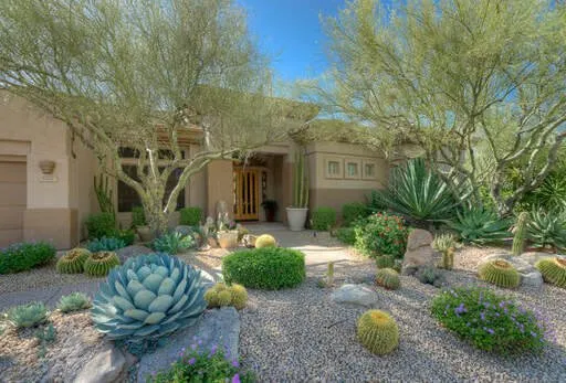 Top-rated yard maintenance in Sun City, AZ - Sun City Tree Service Pros