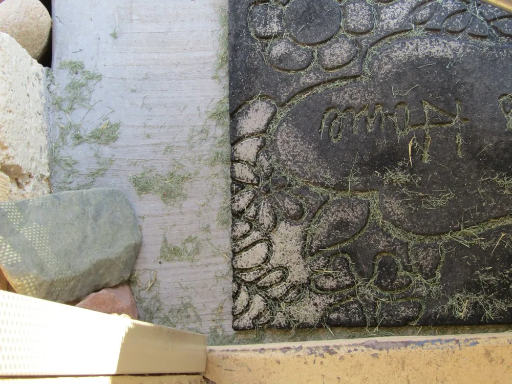 Affordable lawn mowing service for beautiful yards across Phoenix, AZ - Sun Country Landscape