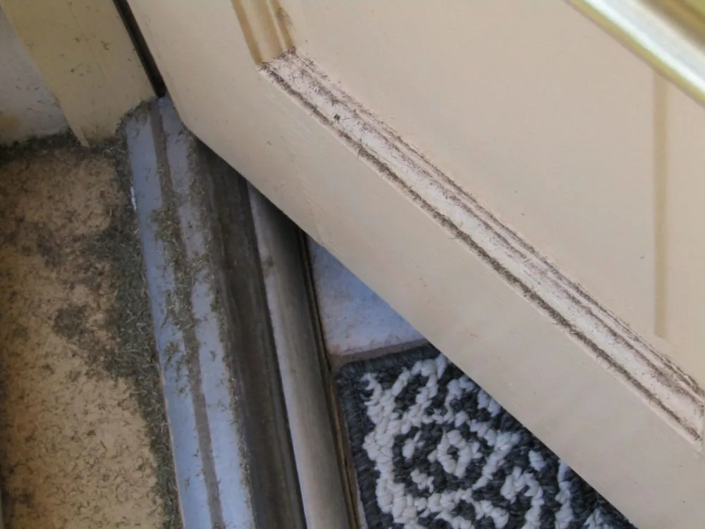 Custom lawn mowing service in Phoenix, AZ - Sun Country Landscape