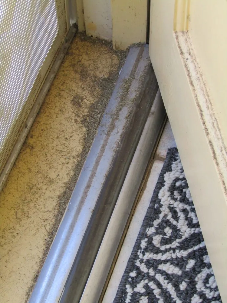 Reliable yard cleanup service for outdoor upgrades in Phoenix, AZ by Sun Country Landscape