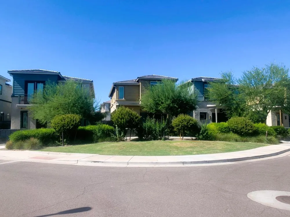 Expert yard maintenance experts serving Phoenix, AZ - Sun Country Landscape