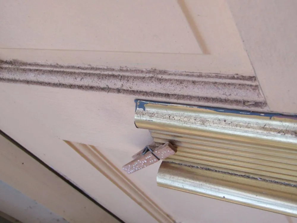 Professional garden landscaping near you in Phoenix, AZ by Sun Country Landscape