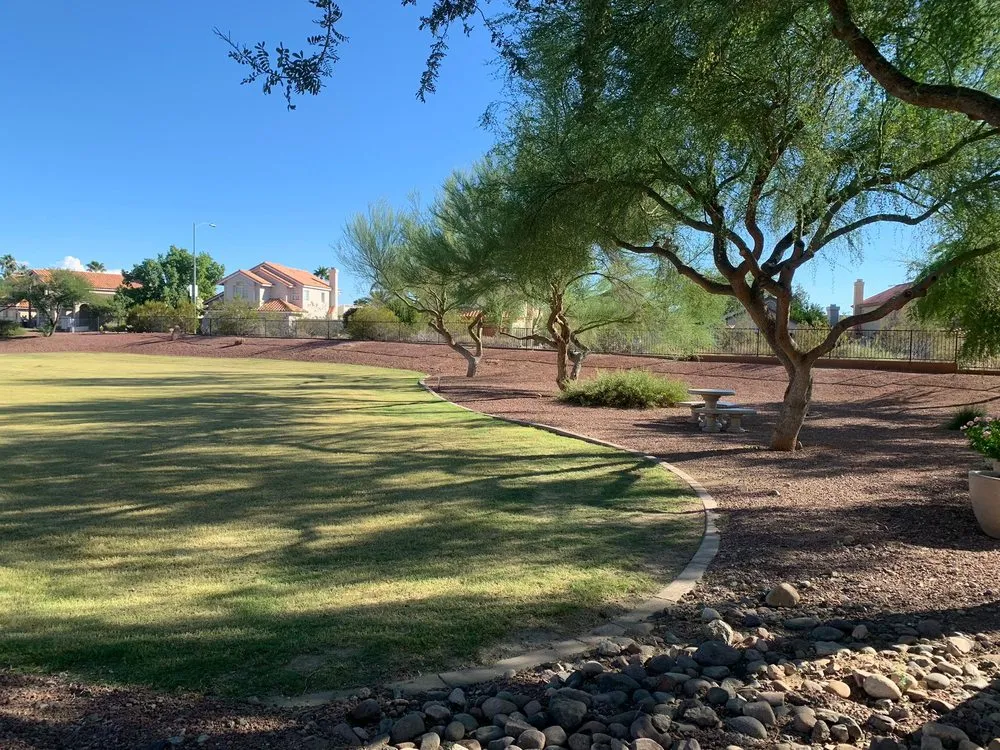 Reliable yard maintenance for outdoor upgrades across Phoenix, AZ - Sun Country Landscape