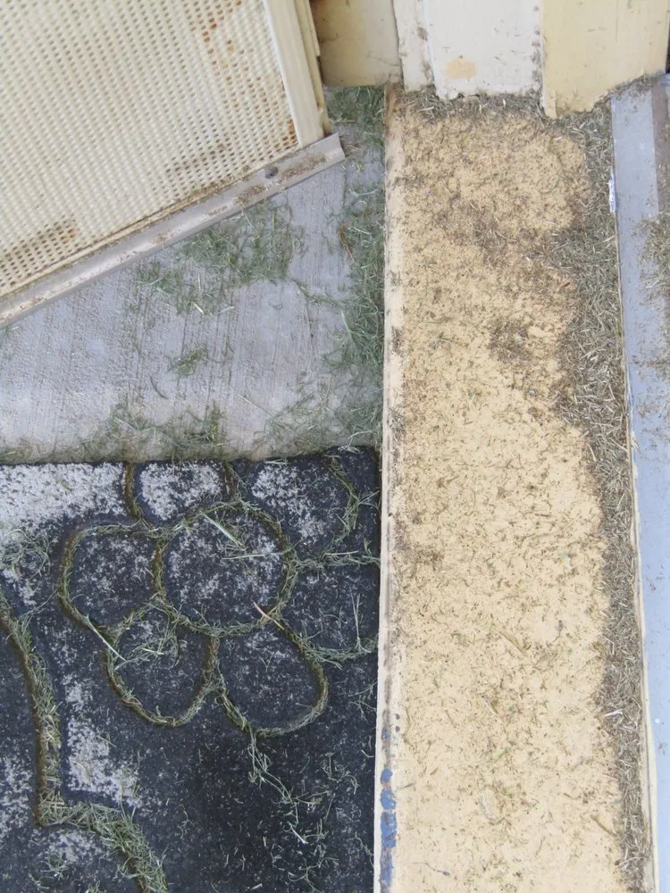 Trusted garden landscaping experts serving Phoenix, AZ - Sun Country Landscape