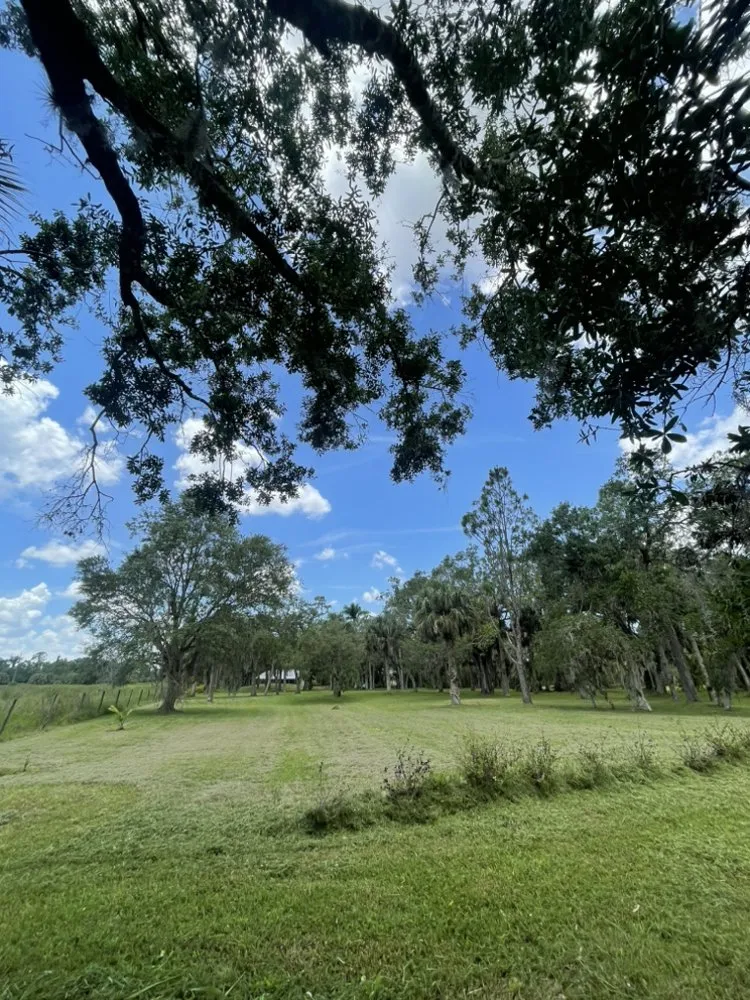 Trusted yard maintenance for residential properties across Alva, FL - Sun Dial Lawn & Landscaping Services