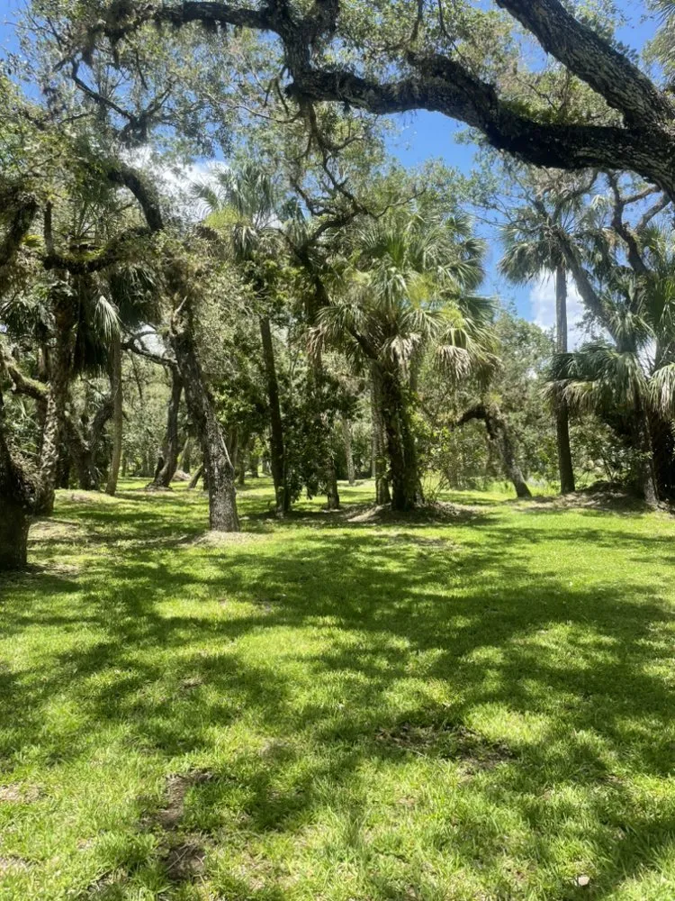 Expert yard cleanup service in Alva, FL - Sun Dial Lawn & Landscaping Services