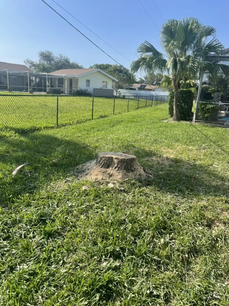 Local yard maintenance for homes in Alva, FL by Sun Dial Lawn & Landscaping Services