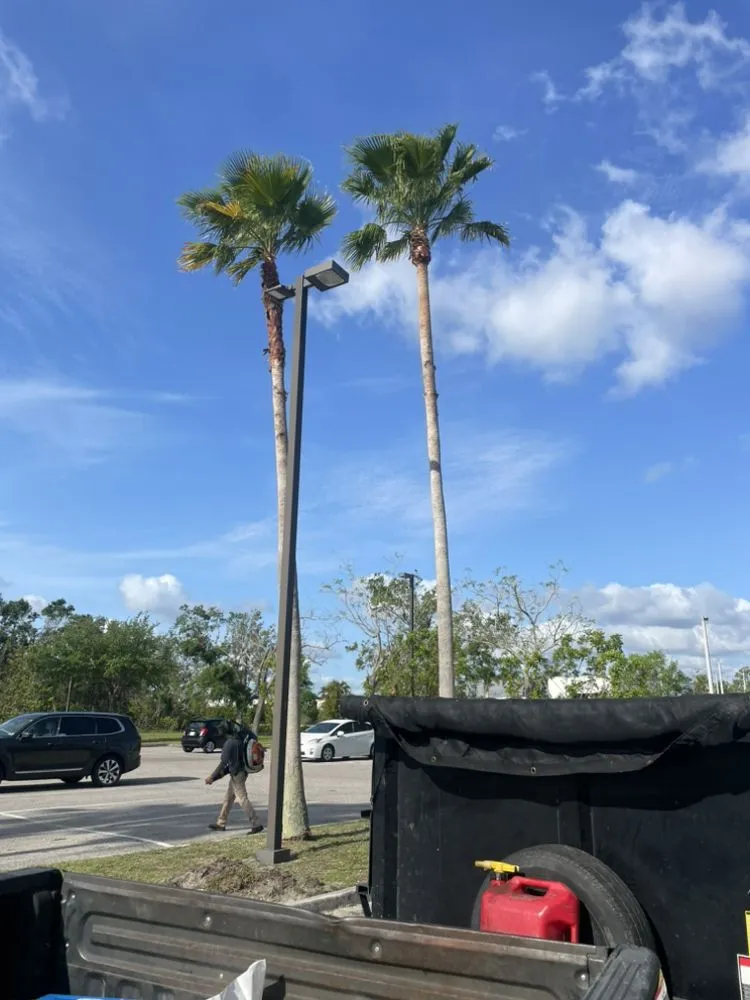 Affordable landscaping services experts serving Alva, FL - Sun Dial Lawn & Landscaping Services