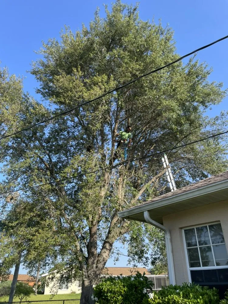 Custom lawn care service in Alva, FL - Sun Dial Lawn & Landscaping Services