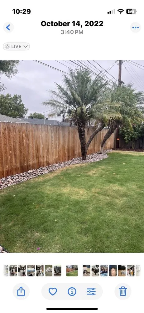 Trusted landscaping services for year-round maintenance across San Diego, CA - Sun Diego Landscape & Design