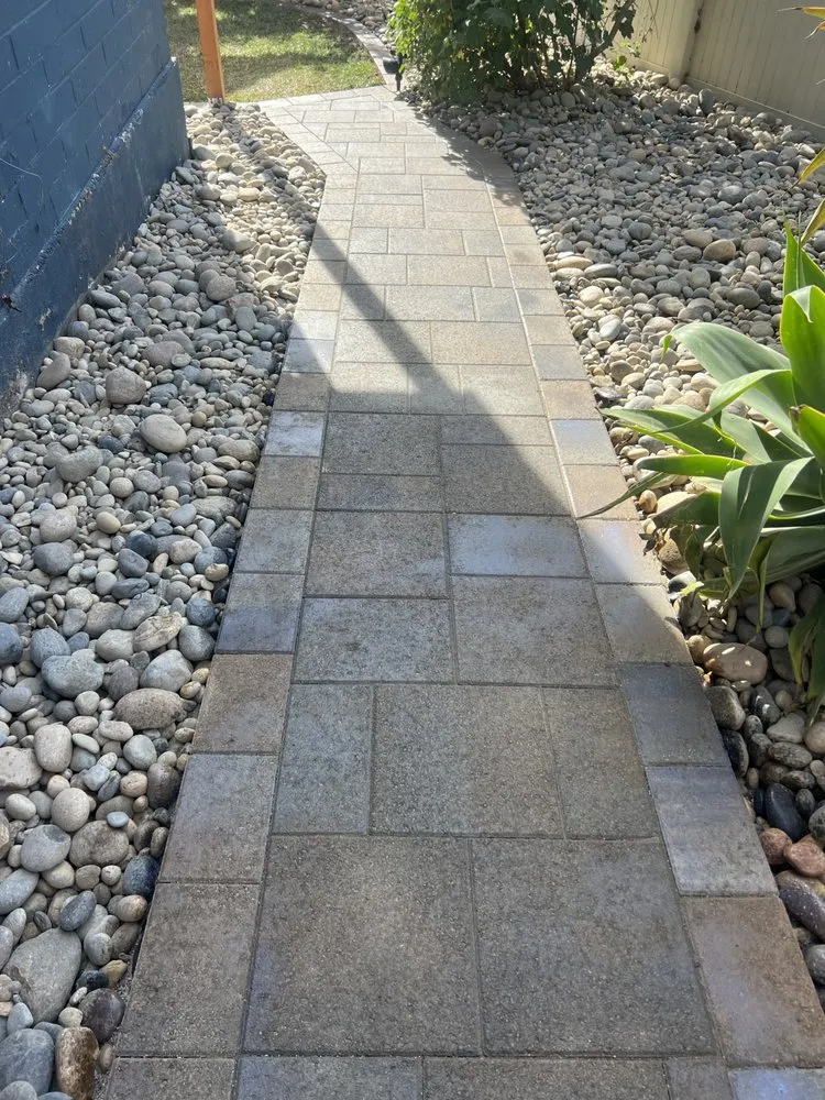 Affordable yard cleanup service in San Diego, CA - Sun Diego Landscape & Design