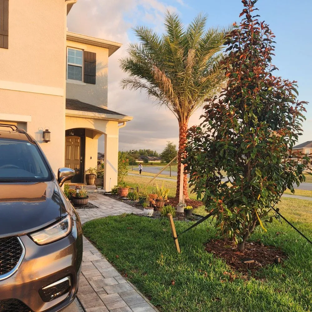 Expert yard cleanup service in Valrico, FL - Sun Environmental of Southwest Florida