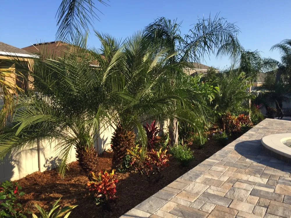 Affordable landscape design for homes in Valrico, FL by Sun Environmental of Southwest Florida