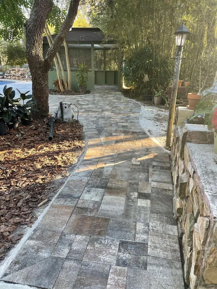 Expert yard cleanup service in Valrico, FL - Sun Environmental of Southwest Florida