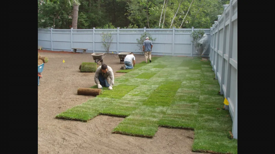 Custom landscaping services for residential properties in Cape Coral, FL by SUN Florida Landscaping