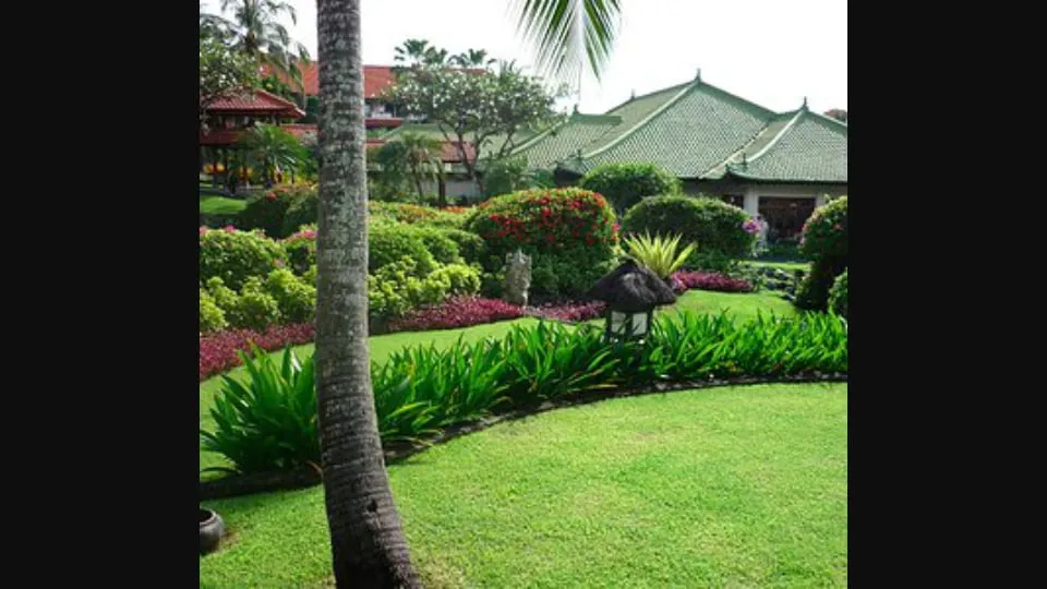 Local lawn mowing service in Cape Coral, FL - SUN Florida Landscaping