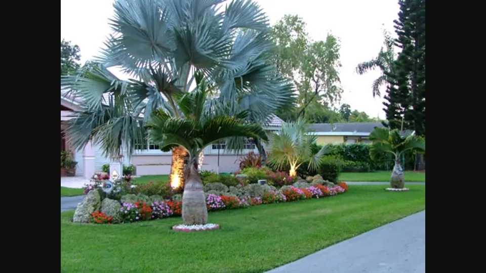 Affordable yard maintenance near you in Cape Coral, FL by SUN Florida Landscaping