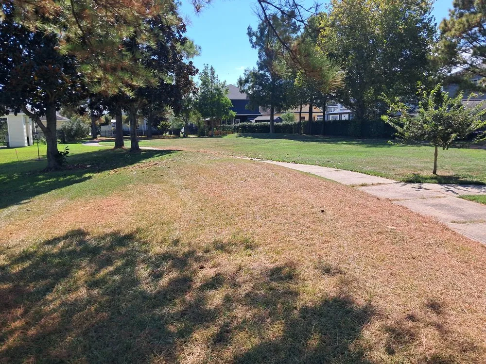 Top-rated yard maintenance in Gretna, LA by Sun Flower Lawncare