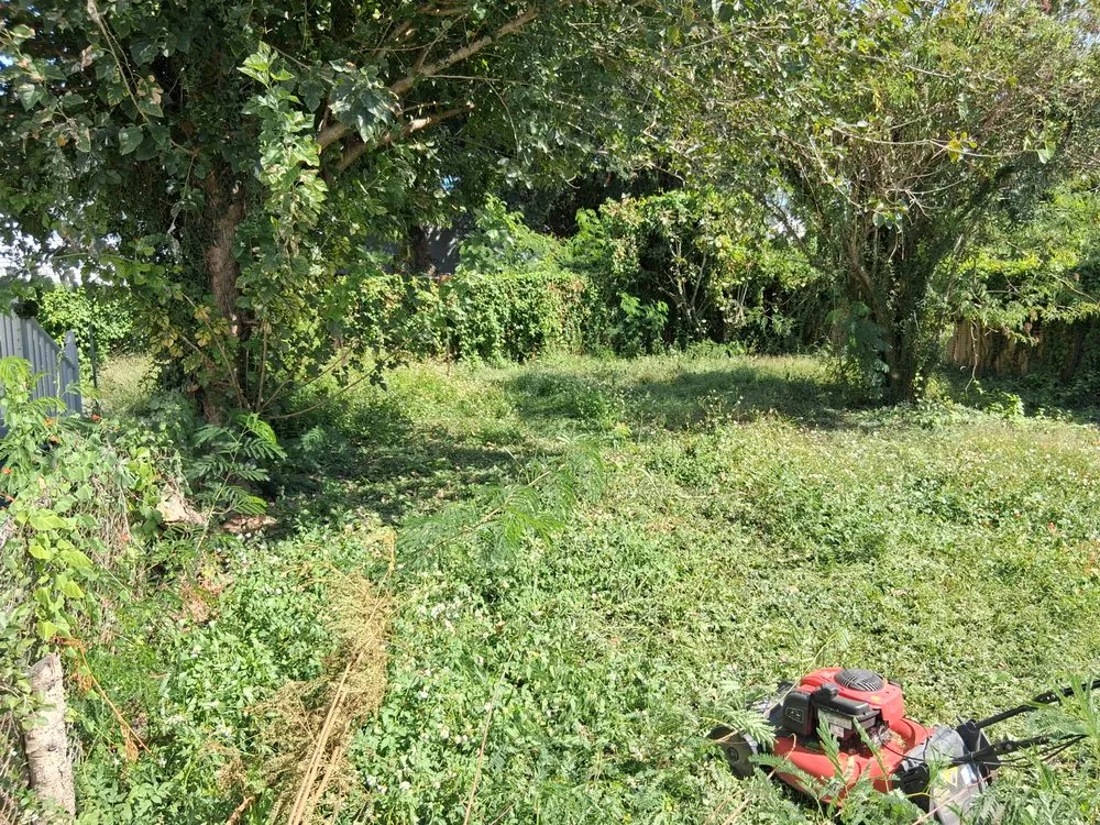 Professional outdoor landscaping in Gretna, LA - Sun Flower Lawncare