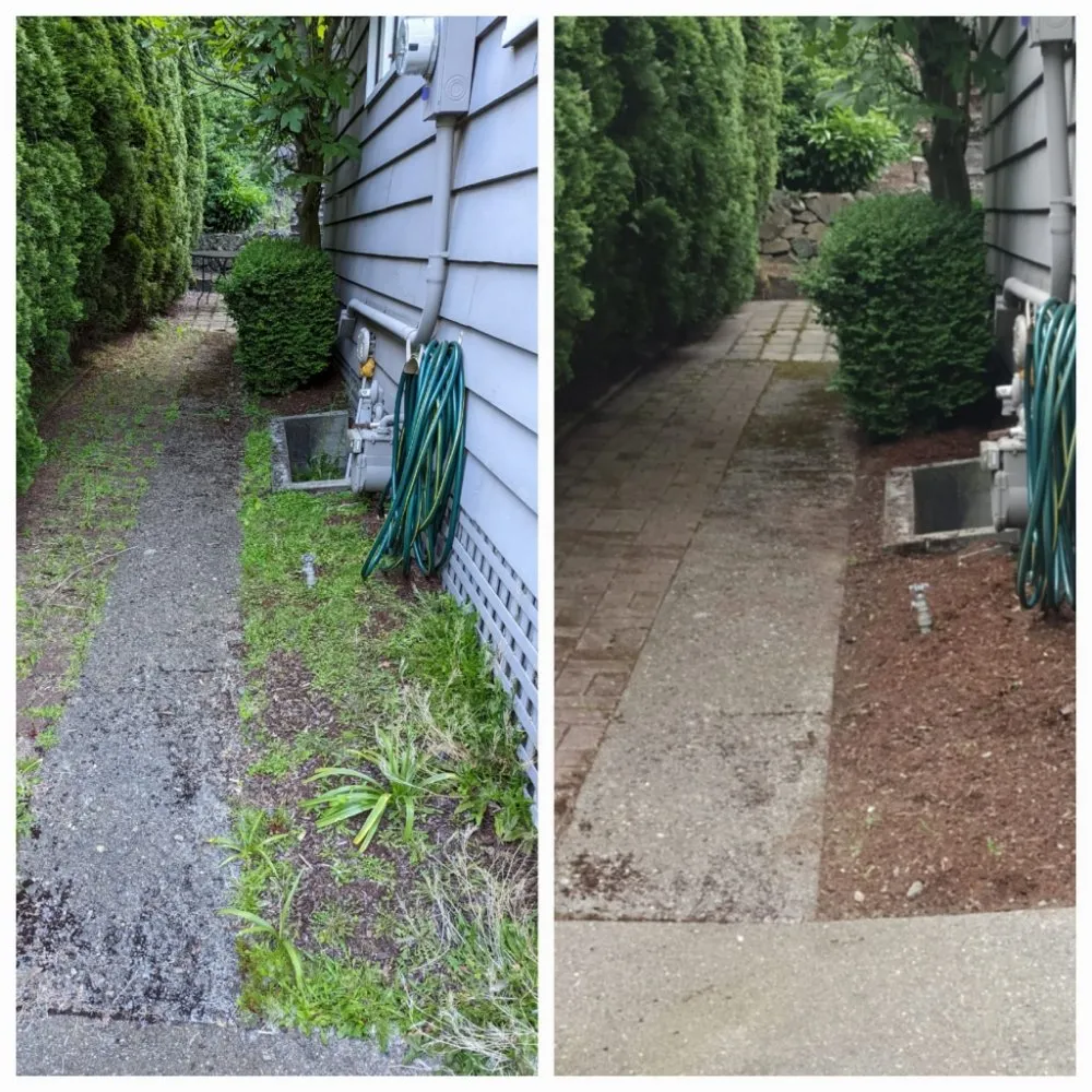 Custom yard cleanup service in Burien, WA - Sun flowers services
