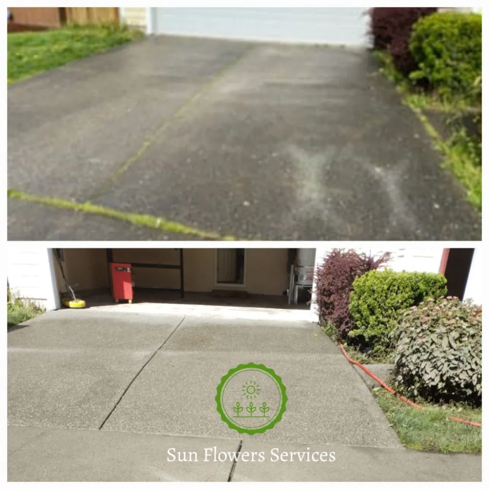 Reliable lawn care service experts serving Burien, WA - Sun flowers services