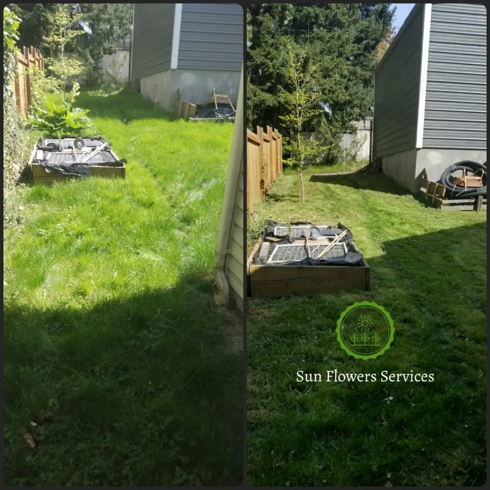 Reliable garden landscaping for year-round maintenance in Burien, WA by Sun flowers services