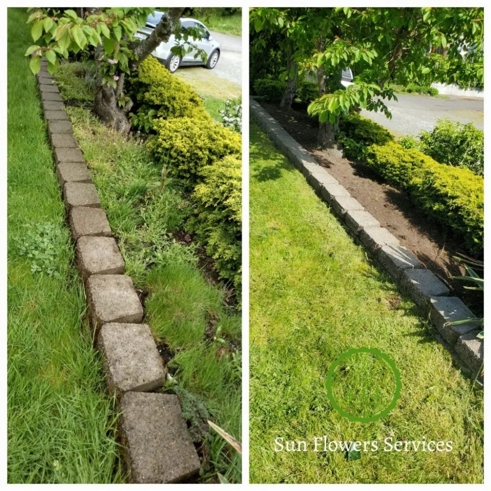 Trusted garden landscaping experts serving Burien, WA - Sun flowers services