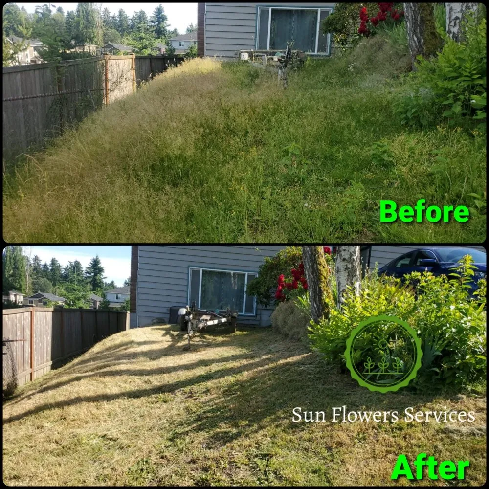Top-rated landscape installation in Burien, WA - Sun flowers services