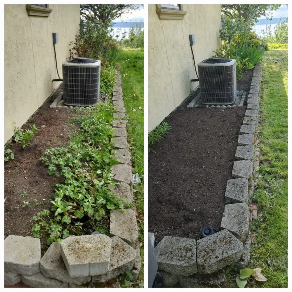 Expert landscape installation in Burien, WA - Sun flowers services