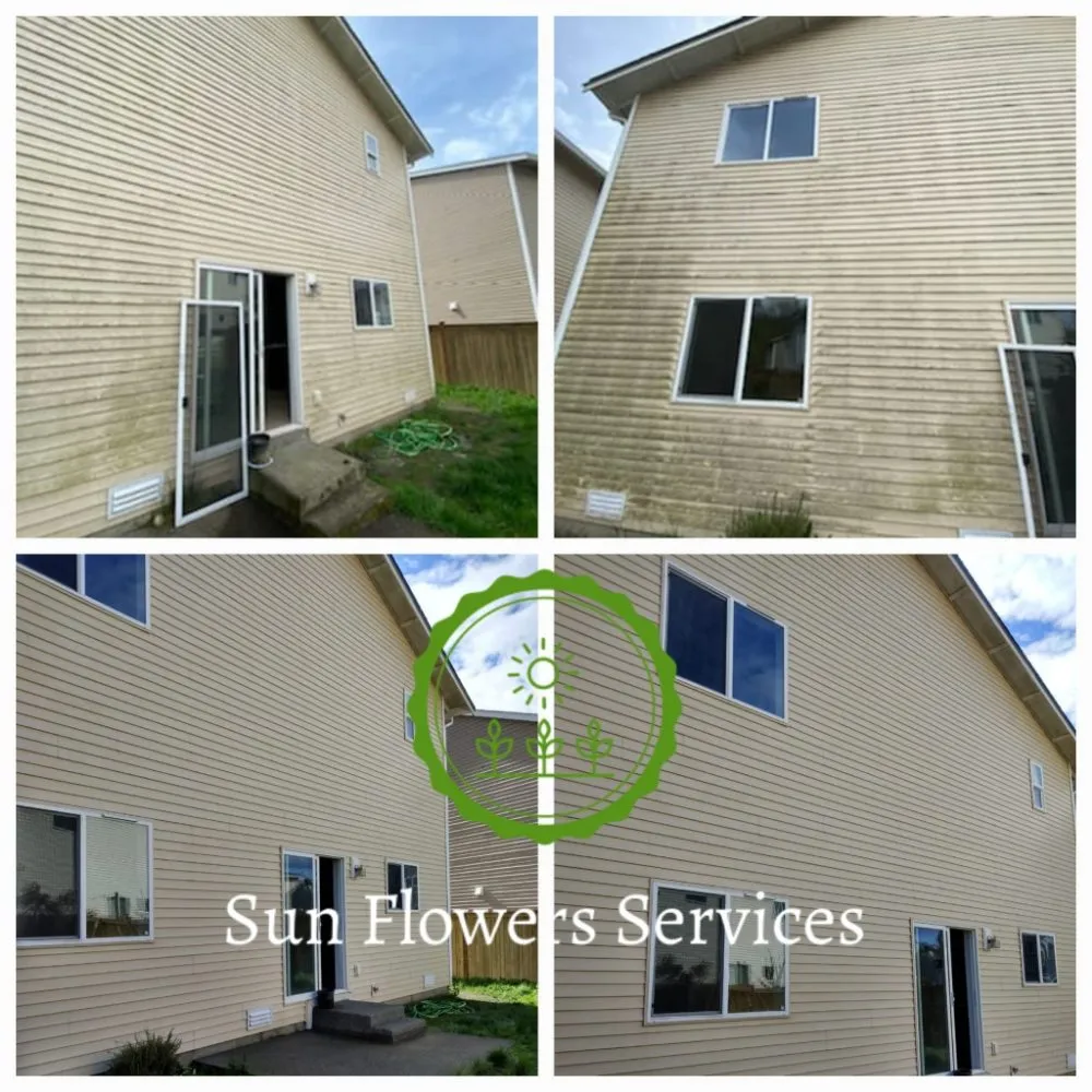 Affordable yard cleanup service for year-round maintenance in Burien, WA by Sun flowers services