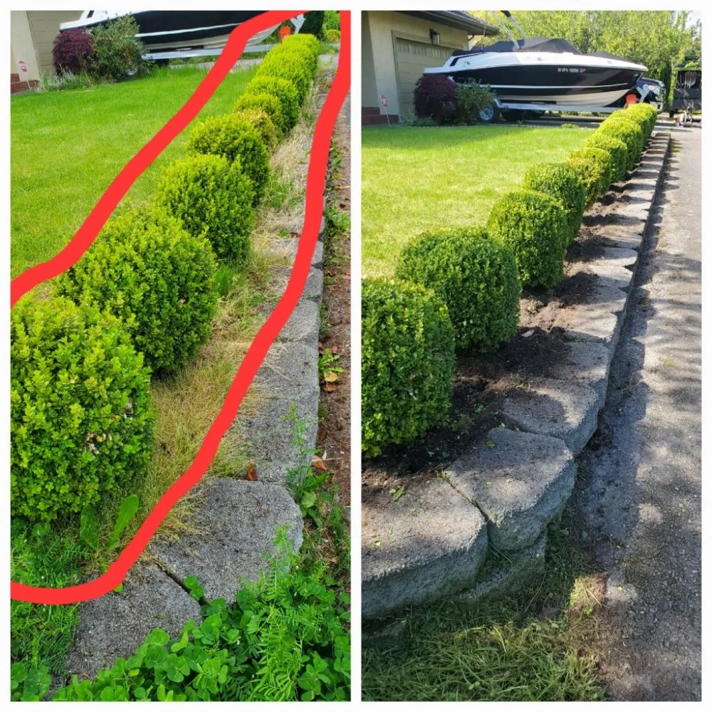 Top-rated yard maintenance in Burien, WA by Sun flowers services