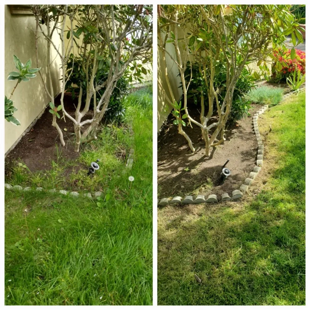 Custom garden landscaping experts serving Burien, WA - Sun flowers services