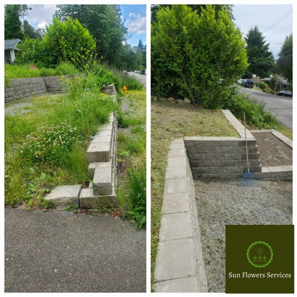 Top-rated landscaping services experts serving Burien, WA - Sun flowers services