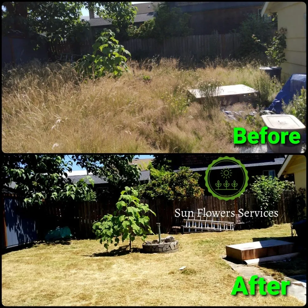 Professional garden landscaping for homes in Burien, WA by Sun flowers services