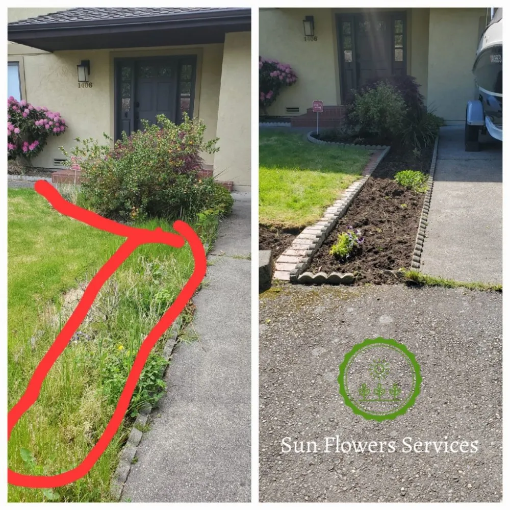 Top-rated garden landscaping for year-round maintenance across Burien, WA - Sun flowers services